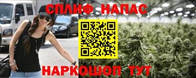 стафф Гай